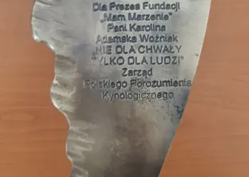 wielkie_skrzydla_2019_6