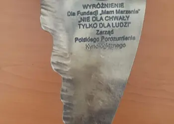 wielkie_skrzydla_2019_1