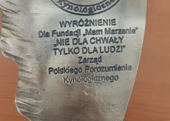 wielkie_skrzydla_2019_2
